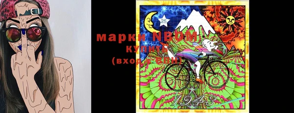 гашик Надым