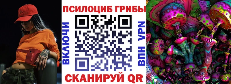 Купить закладки  Зеленогорск  Псилоцибиновые грибы Psilocybine cubensis 